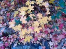 photo thumbnail #14