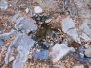 Featured Detail Photo