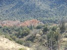 photo thumbnail #14