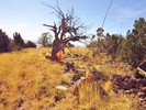 photo thumbnail #8