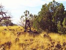 photo thumbnail #10