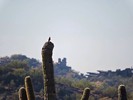 photo thumbnail #10