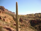 photo thumbnail #3