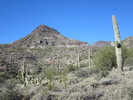 photo thumbnail #2