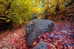 photo thumbnail #11