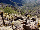 photo thumbnail #5