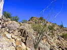 photo thumbnail #7