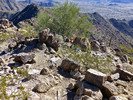 photo thumbnail #14