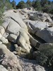 photo thumbnail #5