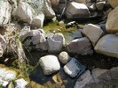 photo thumbnail #11
