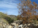 photo thumbnail #14