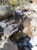 photo thumbnail #5