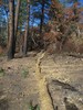 photo thumbnail #8