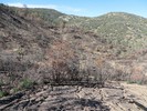 photo thumbnail #9