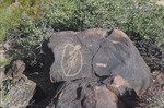 photo thumbnail #3