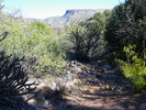 photo thumbnail #11