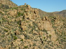 photo thumbnail #14