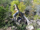 photo thumbnail #15