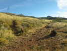 photo thumbnail #6