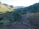 photo thumbnail #2