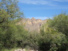 photo thumbnail #5