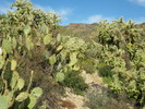 photo thumbnail #13