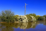 photo thumbnail #15