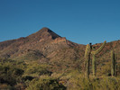 photo thumbnail #1