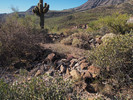 photo thumbnail #4