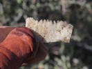 photo thumbnail #7