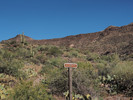photo thumbnail #8