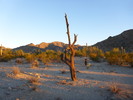 photo thumbnail #3