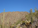 photo thumbnail #12