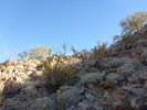 photo thumbnail #14