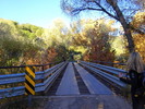photo thumbnail #1