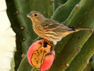 photo thumbnail #1