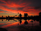 photo thumbnail #15