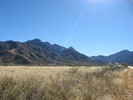 photo thumbnail #1