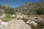 photo thumbnail #14