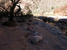 photo thumbnail #5