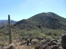 photo thumbnail #11