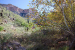 photo thumbnail #3