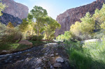 photo thumbnail #9