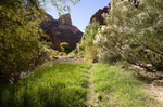 photo thumbnail #15