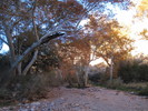 photo thumbnail #11