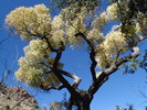 photo thumbnail #14