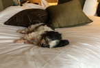 photo thumbnail #3
