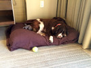 photo thumbnail #4