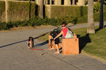 photo thumbnail #13