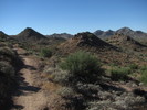 photo thumbnail #1